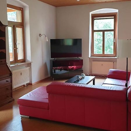 Idyllische Ferienwohnung In Zentrumsnaehe Dresda Esterno foto