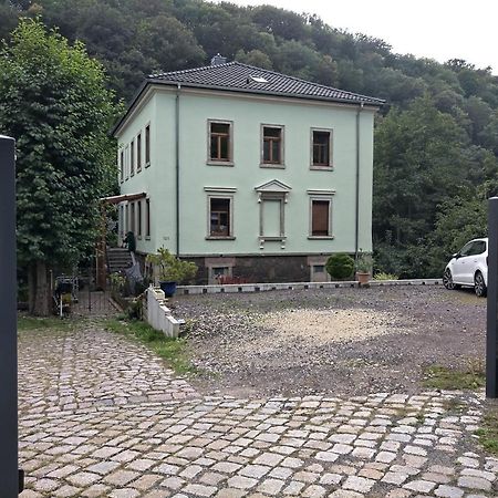 Idyllische Ferienwohnung In Zentrumsnaehe Dresda Esterno foto