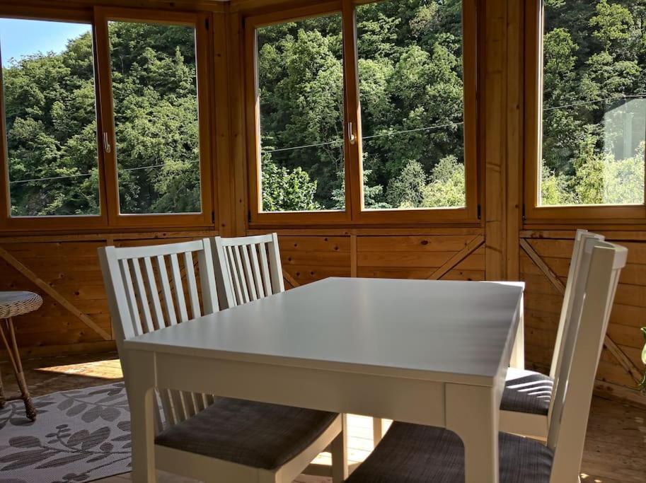 Idyllische Ferienwohnung In Zentrumsnaehe Dresda Esterno foto