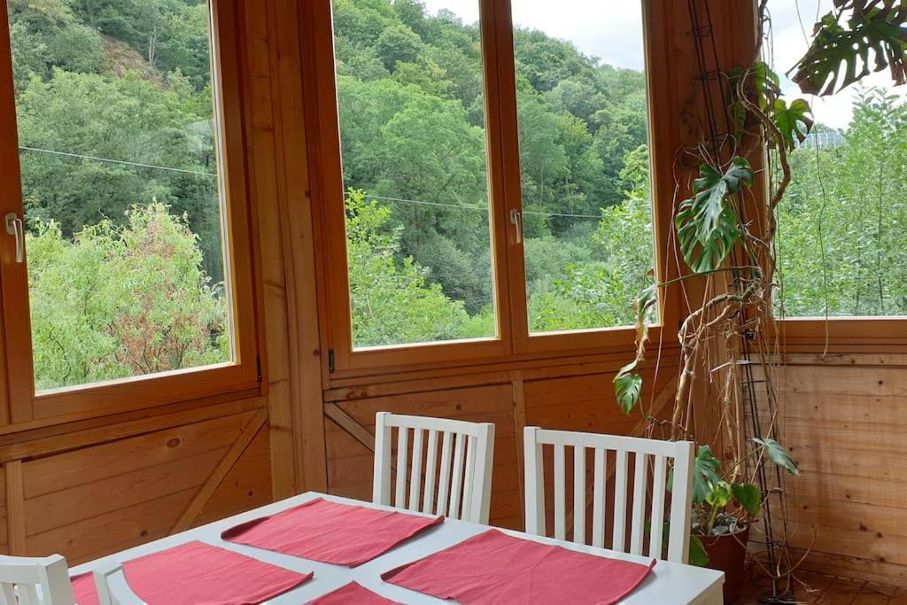 Idyllische Ferienwohnung In Zentrumsnaehe Dresda Esterno foto