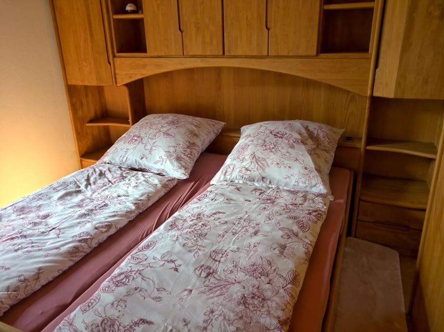 Idyllische Ferienwohnung In Zentrumsnaehe Dresda Esterno foto