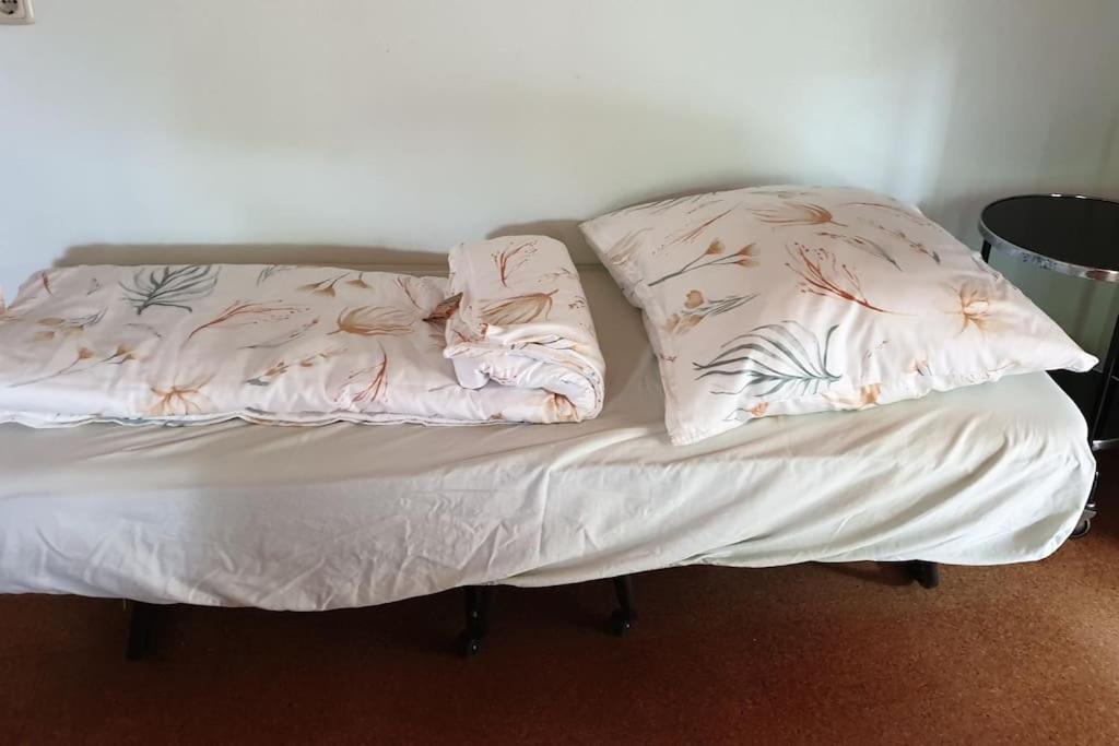 Idyllische Ferienwohnung In Zentrumsnaehe Dresda Esterno foto