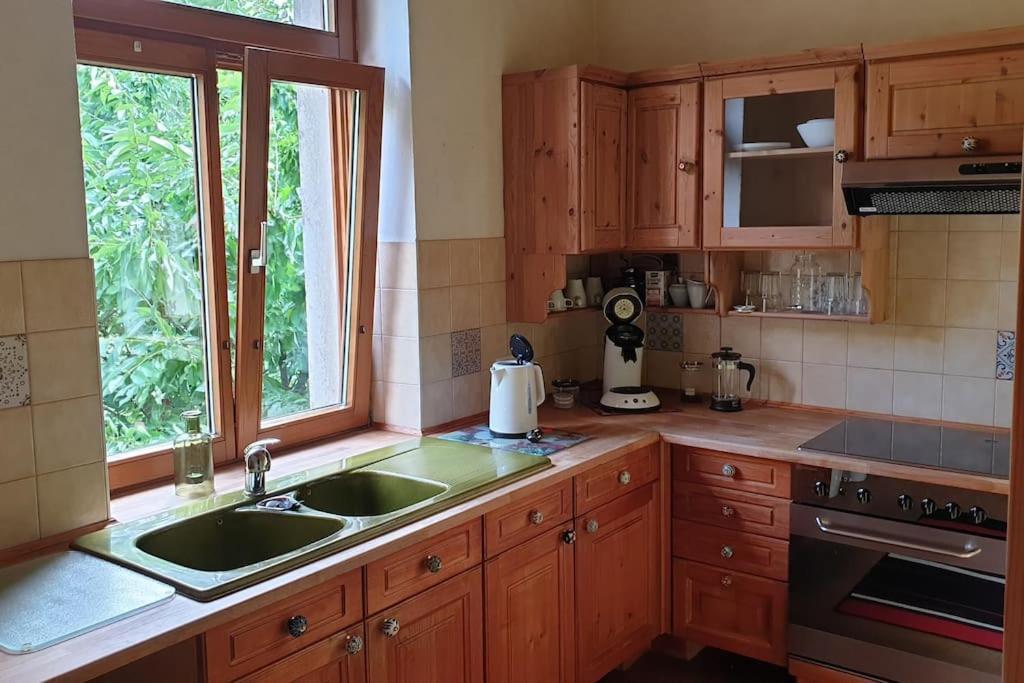 Idyllische Ferienwohnung In Zentrumsnaehe Dresda Esterno foto