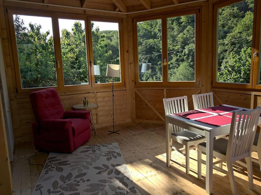 Idyllische Ferienwohnung In Zentrumsnaehe Dresda Esterno foto
