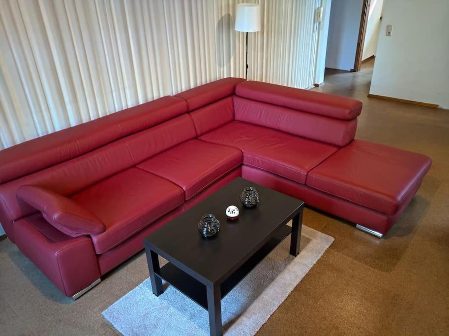 Idyllische Ferienwohnung In Zentrumsnaehe Dresda Esterno foto