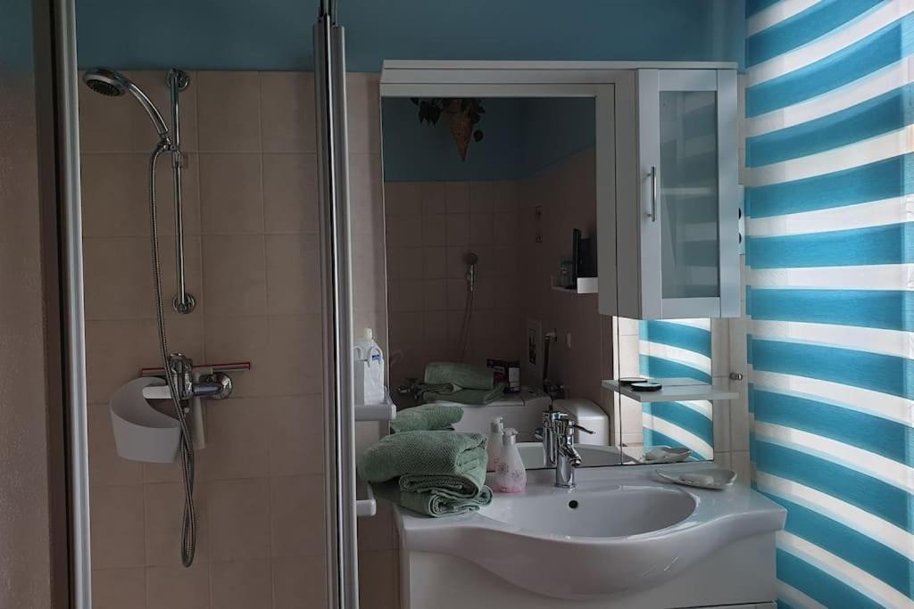 Idyllische Ferienwohnung In Zentrumsnaehe Dresda Esterno foto