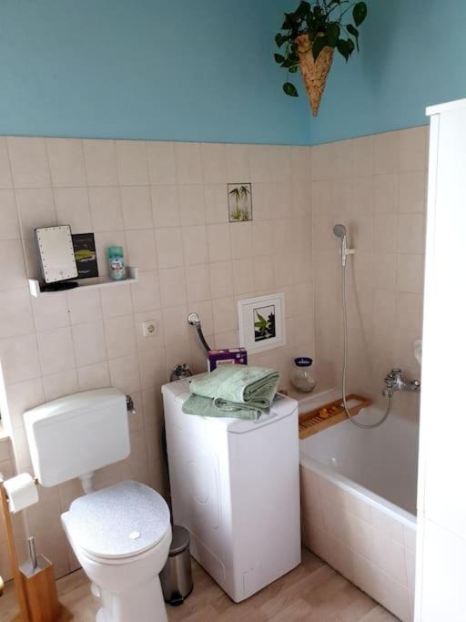 Idyllische Ferienwohnung In Zentrumsnaehe Dresda Esterno foto