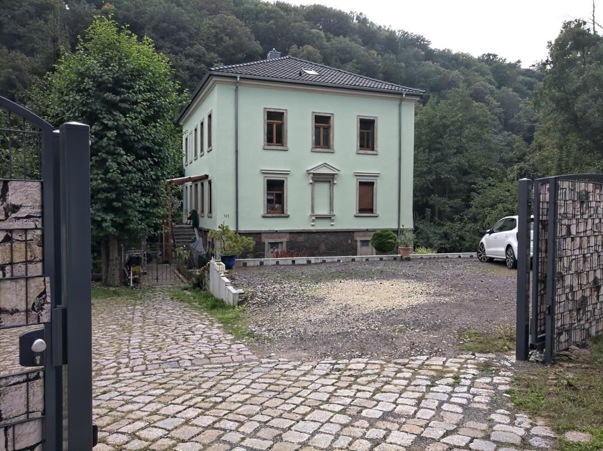 Idyllische Ferienwohnung In Zentrumsnaehe Dresda Esterno foto